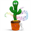 Cactus con Baile