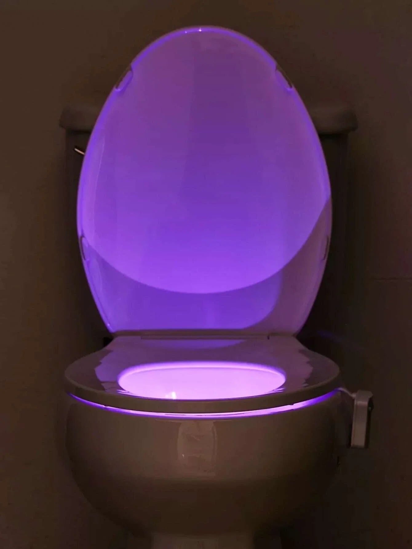 LAVAED Sensor de movimiento para inodoro, luz nocturna para el inodoro, luz  para el inodoro, luz de baño, sensor de movimiento, para asiento de